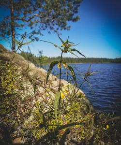 Скальные озера Кузнечного