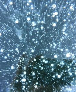 Пузырьковый лед Байкала