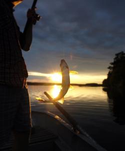 Рыбалка на Ладоге