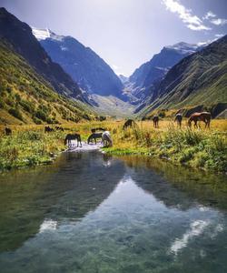 Местный пейзаж