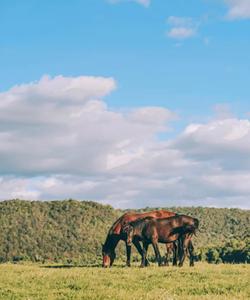 Тур в Башкирию