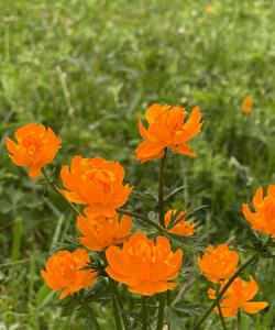 Тур на Алтай