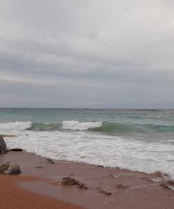 Местные пейзажи