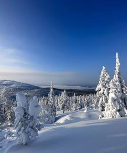 Тур на Кольский полуостров