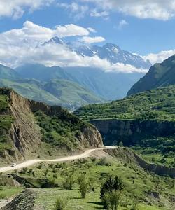 Местные пейзажи