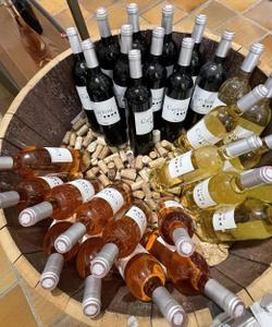 Дегустация вина