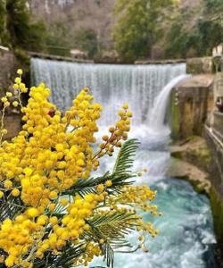 Природа Абхазии