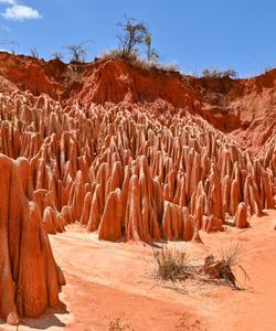 Красные Цинги (Tsingy Rouge) на Мадагаскаре