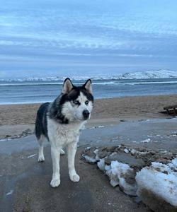 Тур на Кольский полуостров