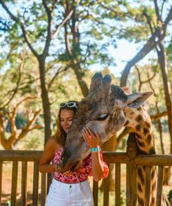 Завтрак с жирафами