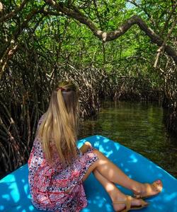 Джунгли на Шри-Ланке