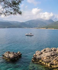 Местные пейзажи 