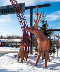 Оленья экоферма в Южно-Сахалинске