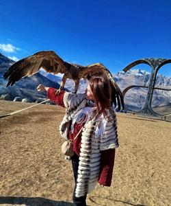 Лигатура АЕ