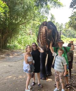 Слоны на Шри-Ланке