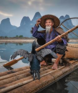 Рыбак с бакланами на реке Ли