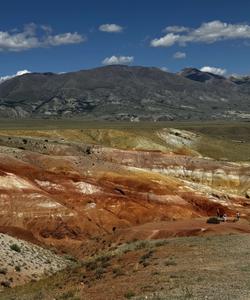 Местный пейзаж