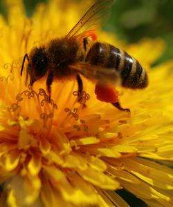 Тур в Башкирию