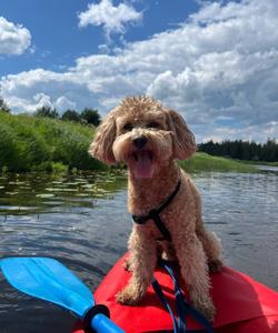 Сплав на байдарках