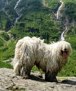 Водопады Три сестры, Дигория