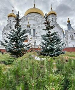 Белогорский монастырь, Пермский край