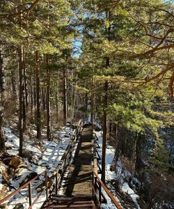 треккинг к водопадам реки Кынгарги