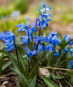 Тур на Кавказ