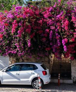 Пеший поход по Ликийской тропе