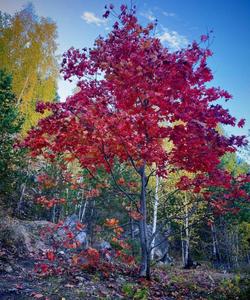Поход по Уралу