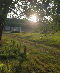 отдых в Крыму