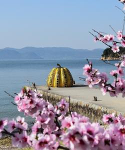 Остров Наосима