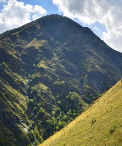 Аргунское ущелье