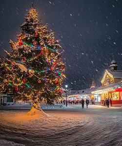 новогодний тур во Владимир