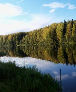 Сплав по реке Шуя