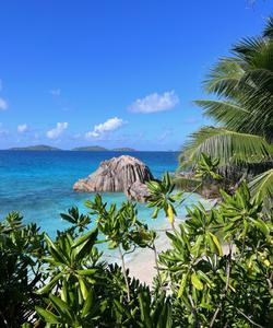 Тур на Сейшелы