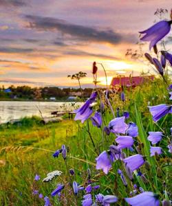 Тур на Терский берег