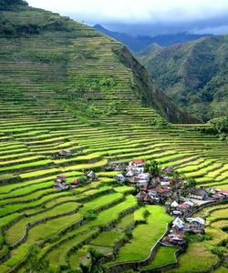 Рисовые террасы Ифугао
