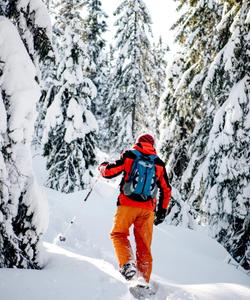 Экскурсия на снегоступах в Карелии