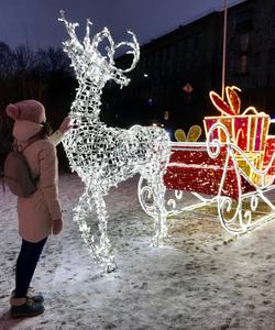 Зимний Петрозаводск