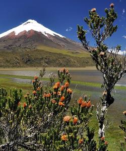 Вулкан в Эквадоре