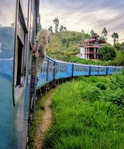 Проезд в Эллу