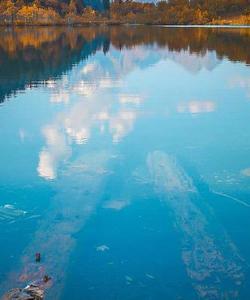 Местный пейзаж