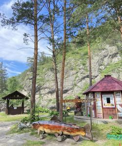 Горный пейзаж