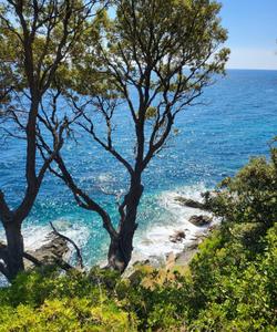 Средиземное море