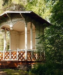 Марциальные воды