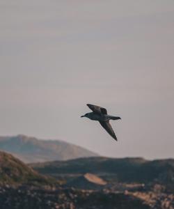 Кольский полуостров