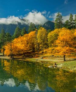 Местный пейзаж