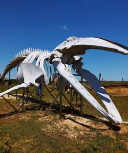 Природный парк «Олений»