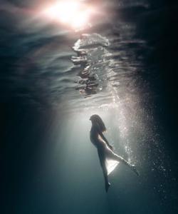 Дайвинг на Мальдивах