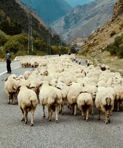 Северная Осетия